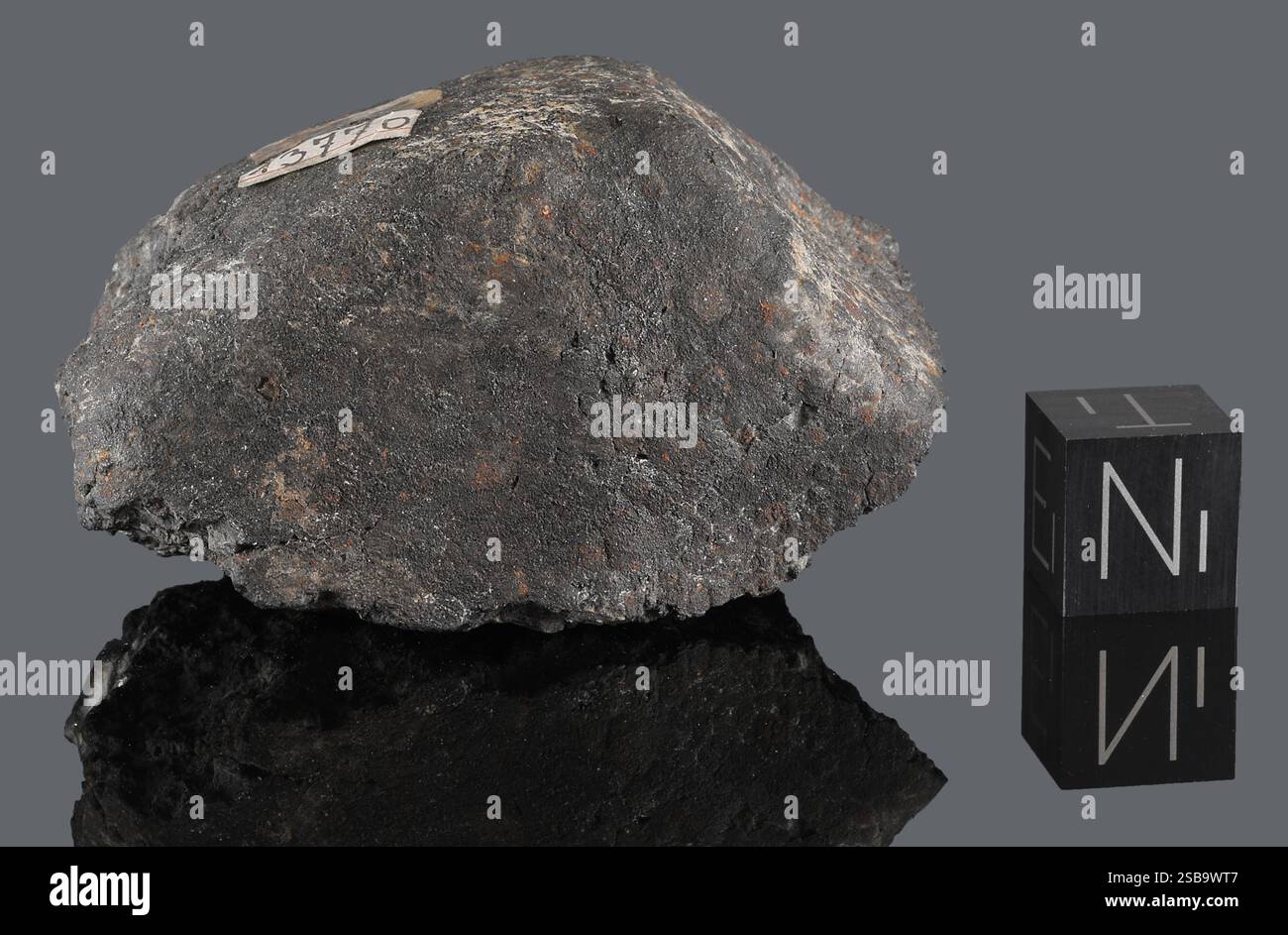Renazzo - automne 15 janvier 1824, Ferrare, Emilie Romagne, Italie. Chondrite carbonée CR2 Brecciated. Masse totale 1 kg. - Fragment Banque D'Images Renazzo - automne 15 janvier 1824, Ferrare, Emilie Romagne, Italie. Chondrite carbonée CR2 Brecciated. Masse totale 1 kg. - Fragment Banque D'Images