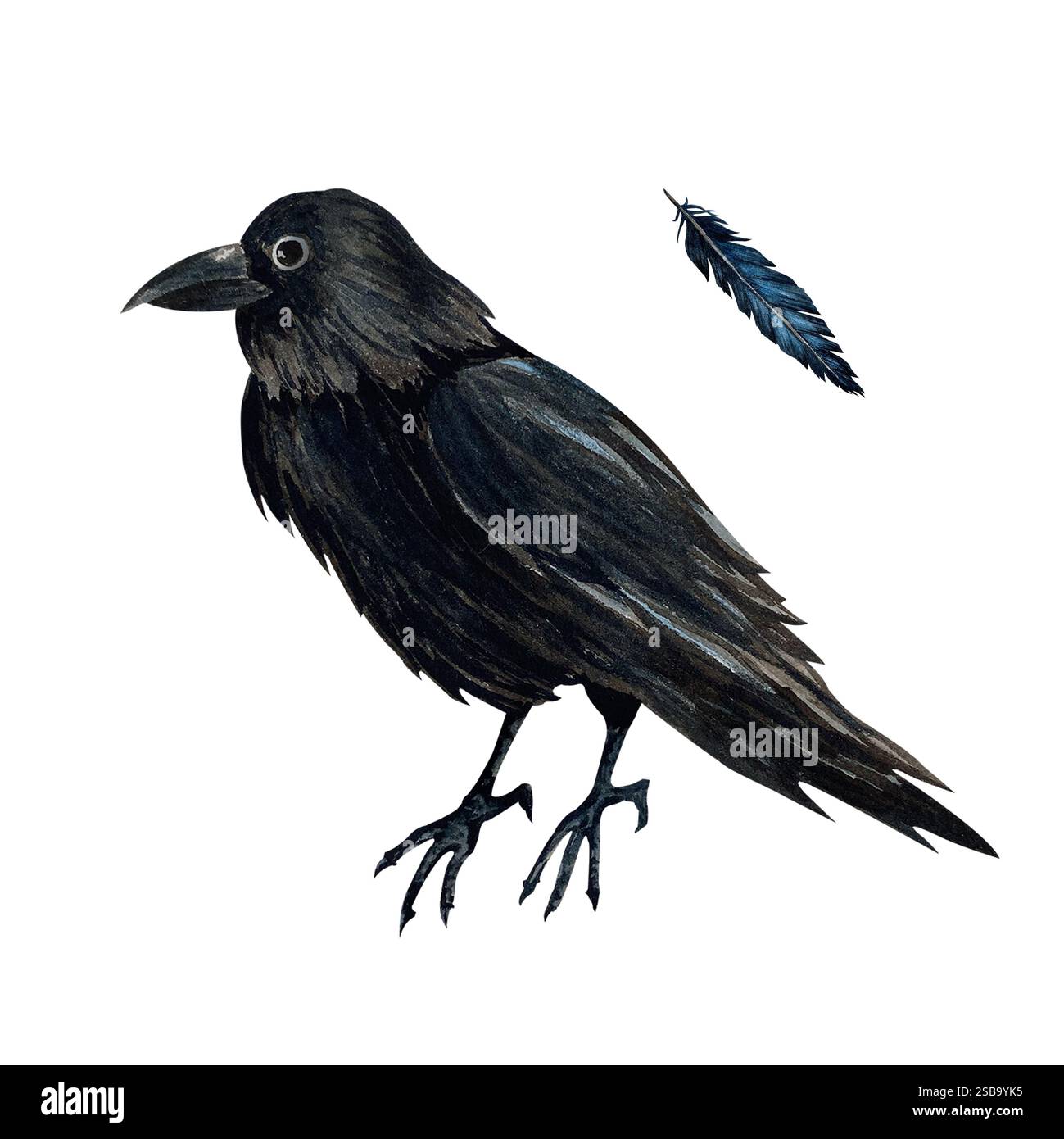 Corbeau noir effrayant et plume bleu foncé. Illustration aquarelle pour Halloween ou Day of the Dead sur fond isolé. Convient pour gothique ou Banque D'Images
