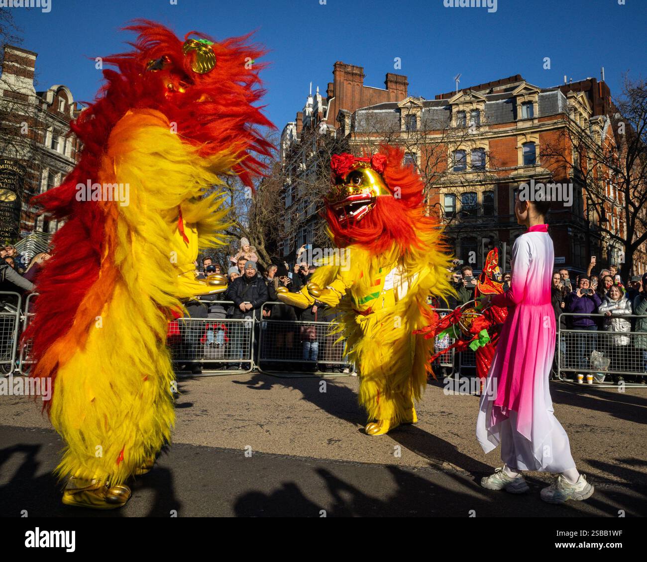 Londres, Royaume-Uni. 02 février 2025. Les danseurs de lion. Participants à la parade. Dans le cadre des célébrations du nouvel an chinois, un défilé dynamique se déroule à travers Chinatown et Soho, avec des danseurs de lion et de dragon, des groupes de spectacles costumés et des participants en tenues traditionnelles. Le nouvel an lunaire 2025, est l'année du serpent. Crédit : Imageplotter/Alamy Live News Banque D'Images
