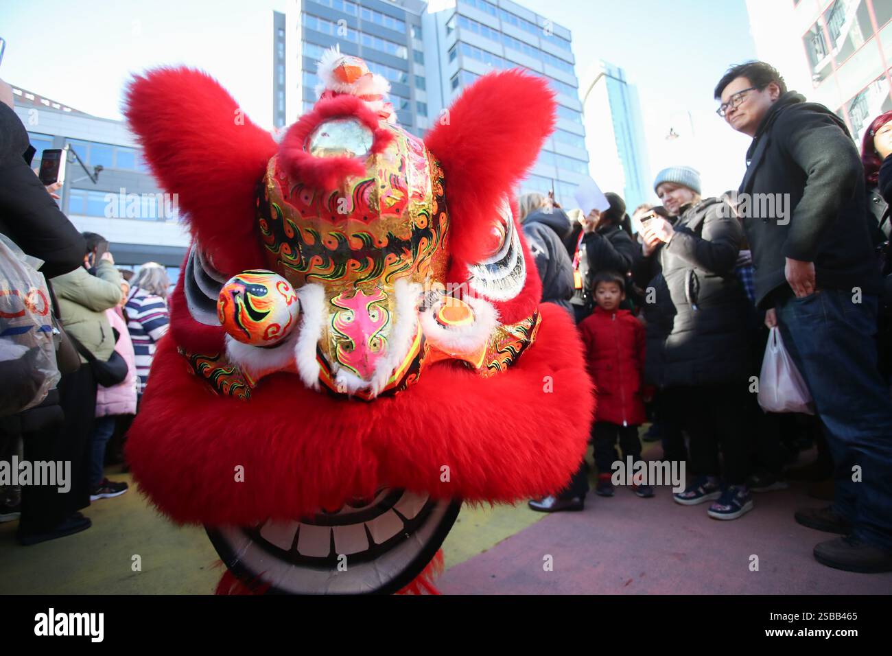 Birmingham, Royaume-Uni. 2 février 2025. La communauté chinoise de Birmingham célèbre le nouvel an de façon traditionnelle avec une danse du lion dans le quartier chinois de la ville. Crédit : Peter Lopeman/Alamy Live News Banque D'Images