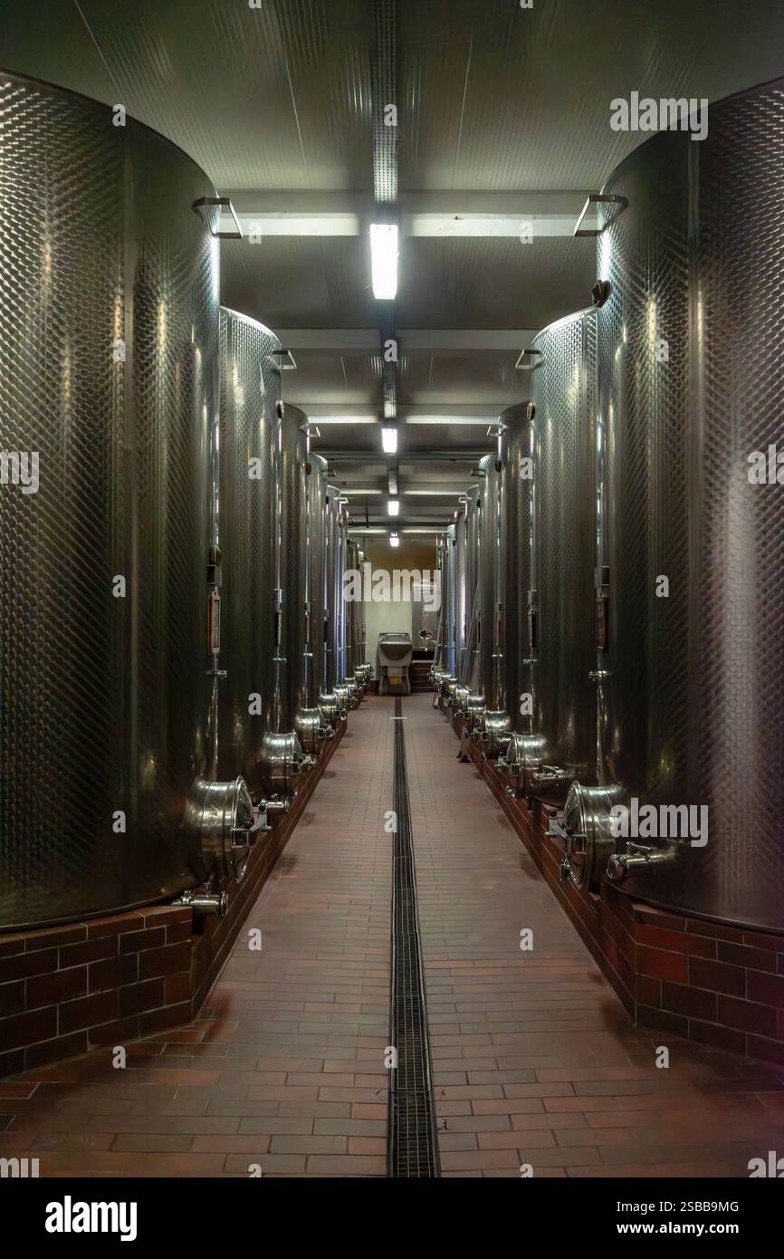 Les silos en aluminium sont utilisés dans l’industrie du vin tant pour le raffinement des vins blancs que pour la fermentation du moût. Banque D'Images