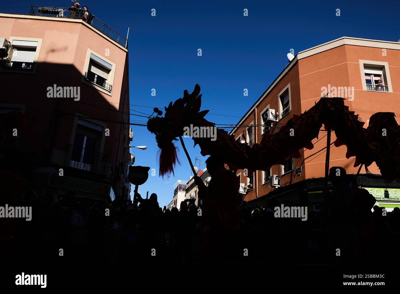 Madrid, Espagne. 02 février 2025. Madrid accueille le nouvel an chinois 2025 avec un défilé animé dans le quartier UserA, où la communauté chinoise et des milliers de visiteurs assistent aux danses du lion et du dragon, aux lanternes rouges, aux costumes traditionnels et aux spectacles colorés. La célébration, marquée par la fusion de la tradition et de la modernité, met en valeur la richesse culturelle du festival le plus important du calendrier lunaire. (Photo de Hazhard Espinoza Vallejos/NurPhoto) crédit : NurPhoto SRL/Alamy Live News Banque D'Images