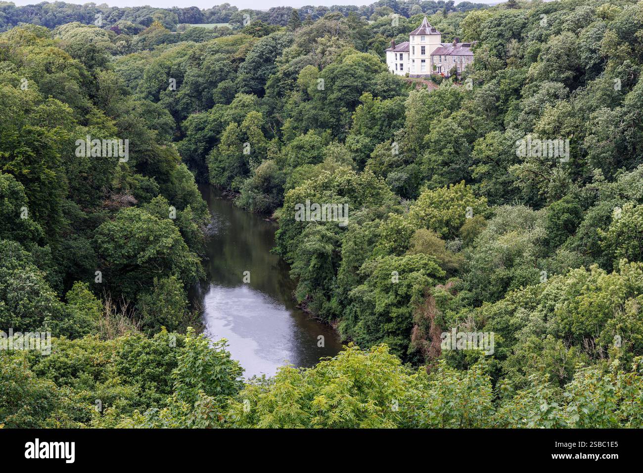 Coedmore Mansion vue depuis les ruines du château de Cilgerran à travers la rivière Teifi, Pembrokeshire, pays de Galles, Royaume-Uni Banque D'Images