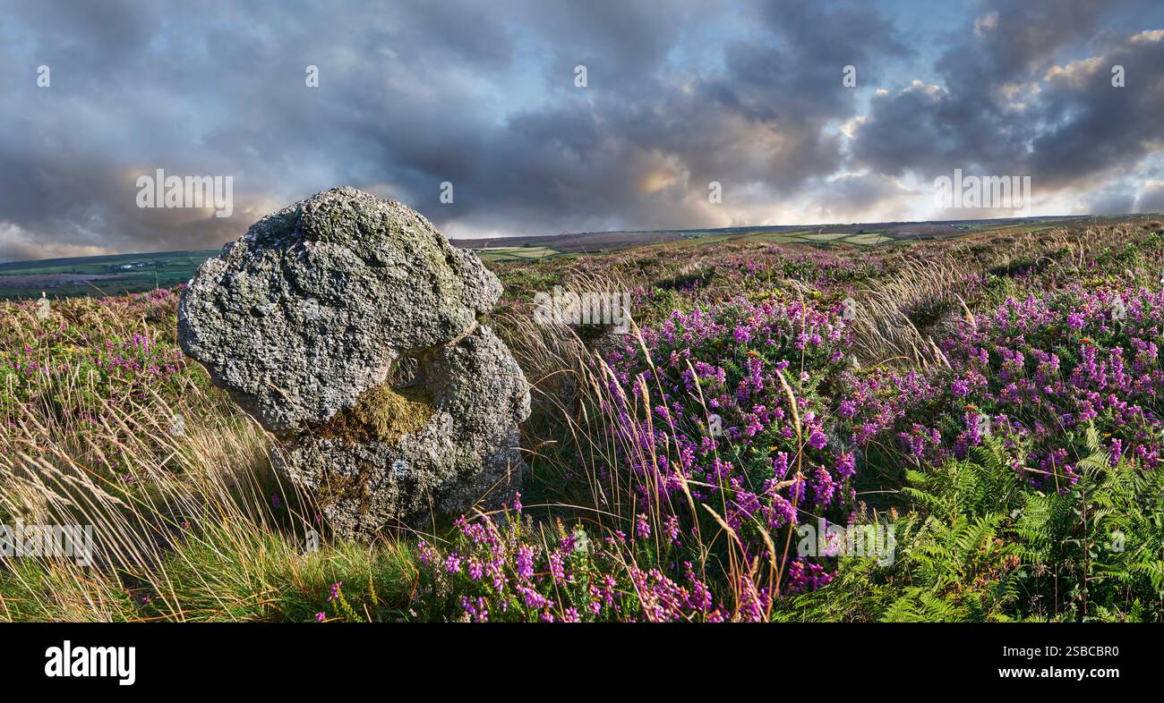 Photo de la pierre debout Tregeseal East sur la colline au sud de Carn Kenidjack. Il y a plusieurs pierres de l'âge de bronze avec des trous dans eux almo Banque D'Images