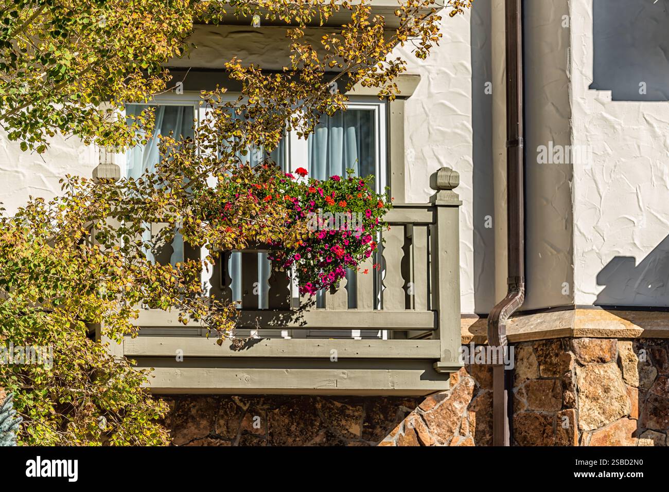 Vail, Colorado station de ski ville avec balcon extérieur de bâtiment d'hôtel dans l'architecture suisse en automne saison d'automne gros plan de fleurs calibrachoa Banque D'Images