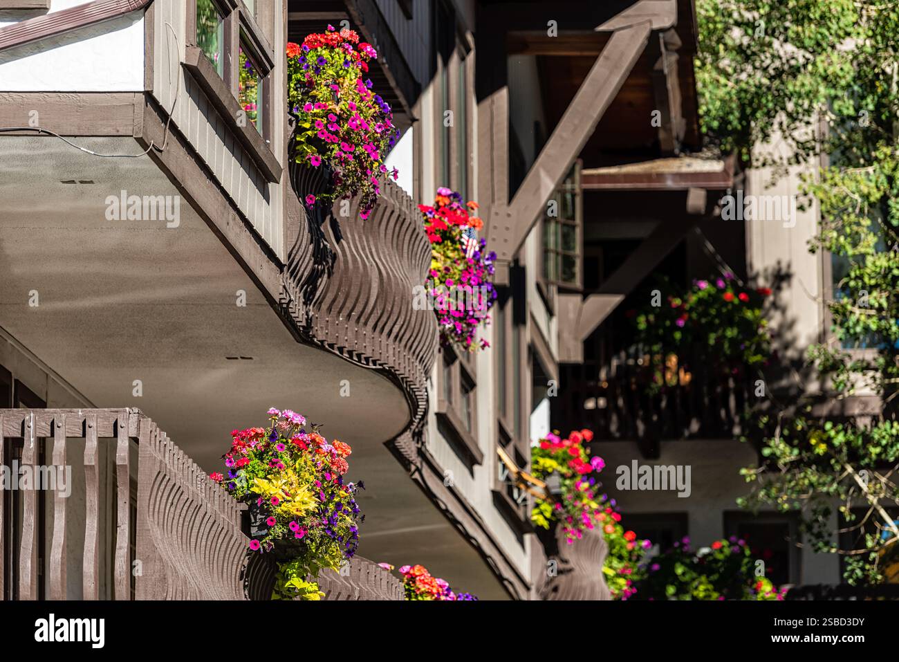 Vail, Colorado station de ski bâtiment de l'hôtel de la ville avec balcon extérieur rangée dans l'architecture suisse gros plan de fleurs calibrachoa Banque D'Images