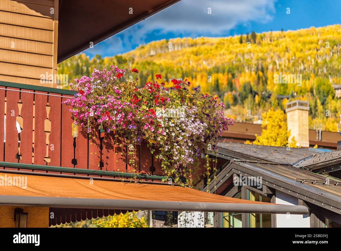 Vail, Colorado station de ski bâtiment de l'hôtel extérieur balcon en bois dans l'architecture suisse gros plan de fleurs calibrachoa Banque D'Images