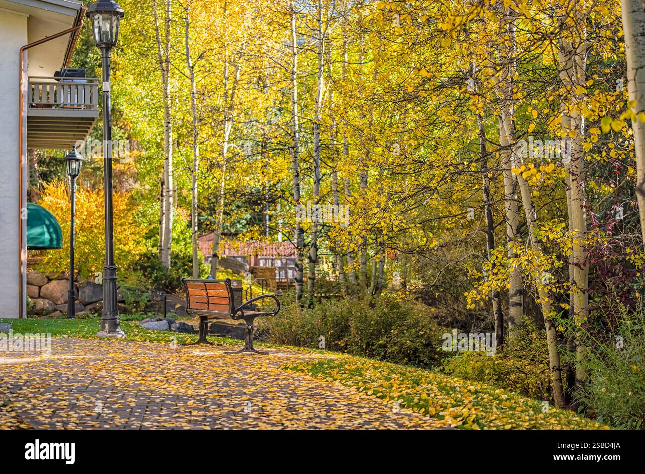 Vail Colorado appartements résidentiels dans la station de ski à l'automne et banc par tremble dans le parc de nombreuses feuilles tombées Banque D'Images