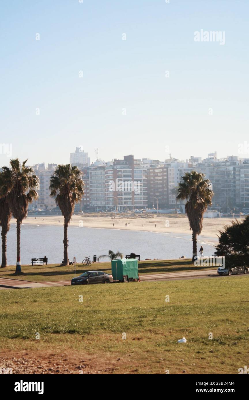 Plage de Montevideo avec palmiers Banque D'Images