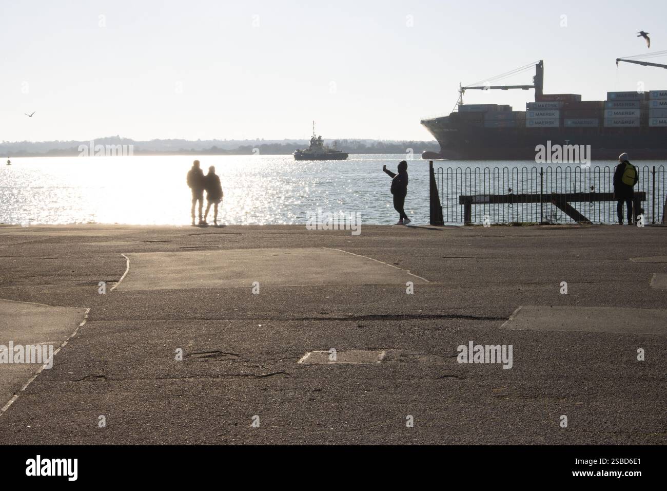 Mayflower Park vue sur River test, navire porte-conteneurs Maersk Banque D'Images