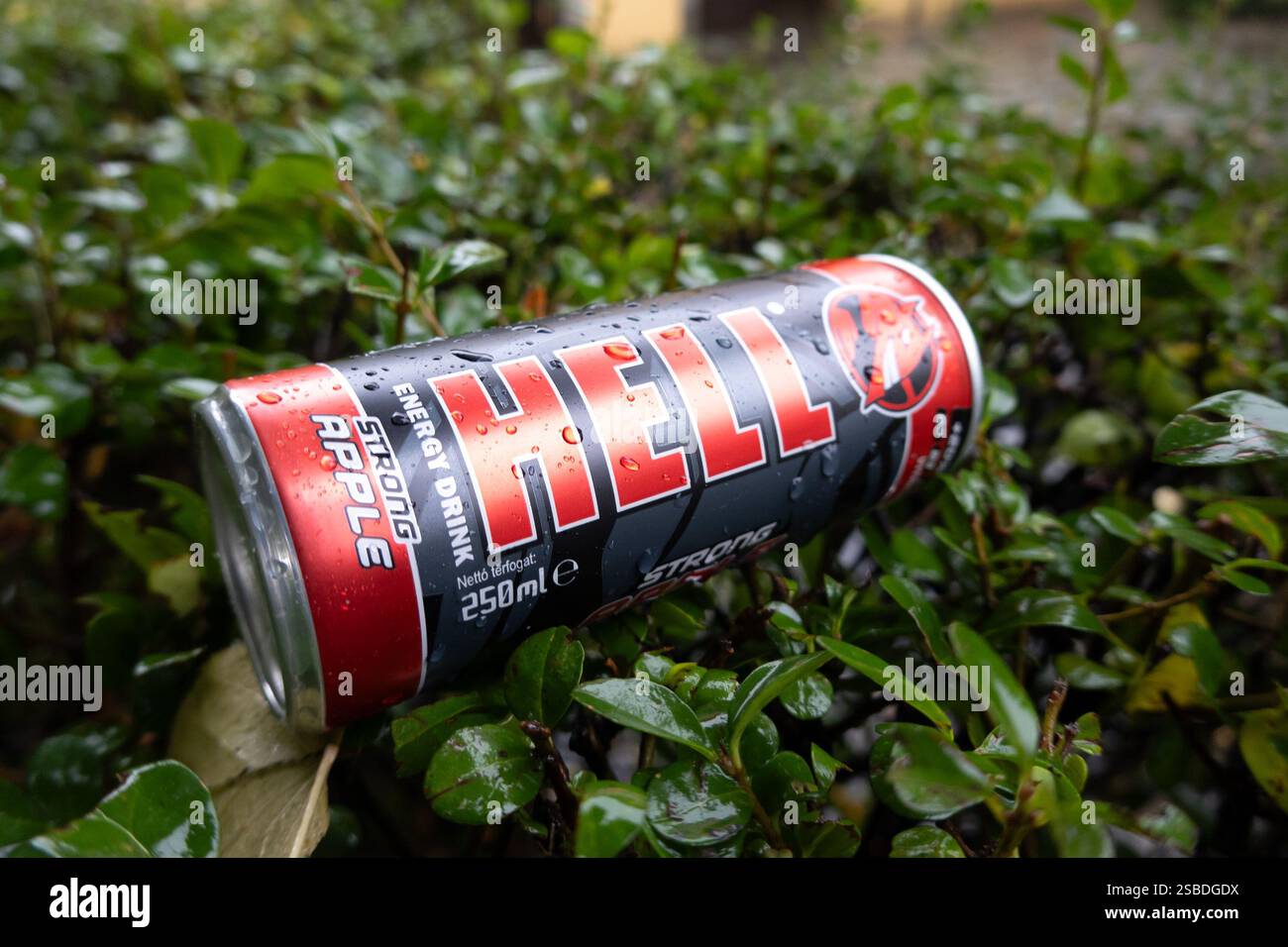 TOKAJ, HONGRIE - 27 OCTOBRE 2023 : Can of Hell fort pommier d'énergie, litière jetée sur la brousse Banque D'Images