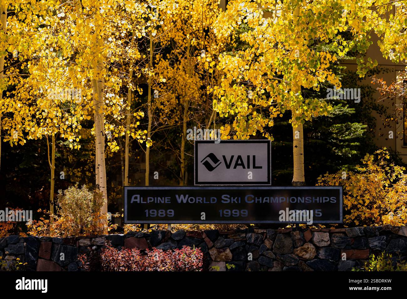 Vail, États-Unis - 6 octobre 2022 : arbres de Aspen à Vail Colorado en automne automne feuillage jaune doré et signe pour village ski alpin Banque D'Images