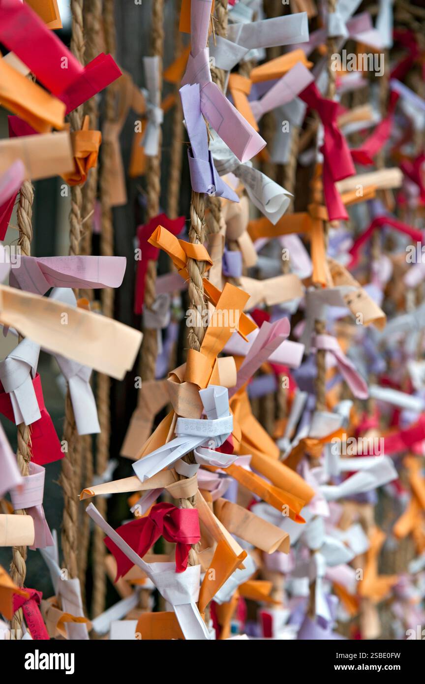 Motif de 'Omikuji' (oracle papier bonne ou mauvaise chance) sur des cordes vues lors de 'hatsumode' (visite du sanctuaire du nouvel an) à Taga Taisha, Hikone, Japon. Banque D'Images