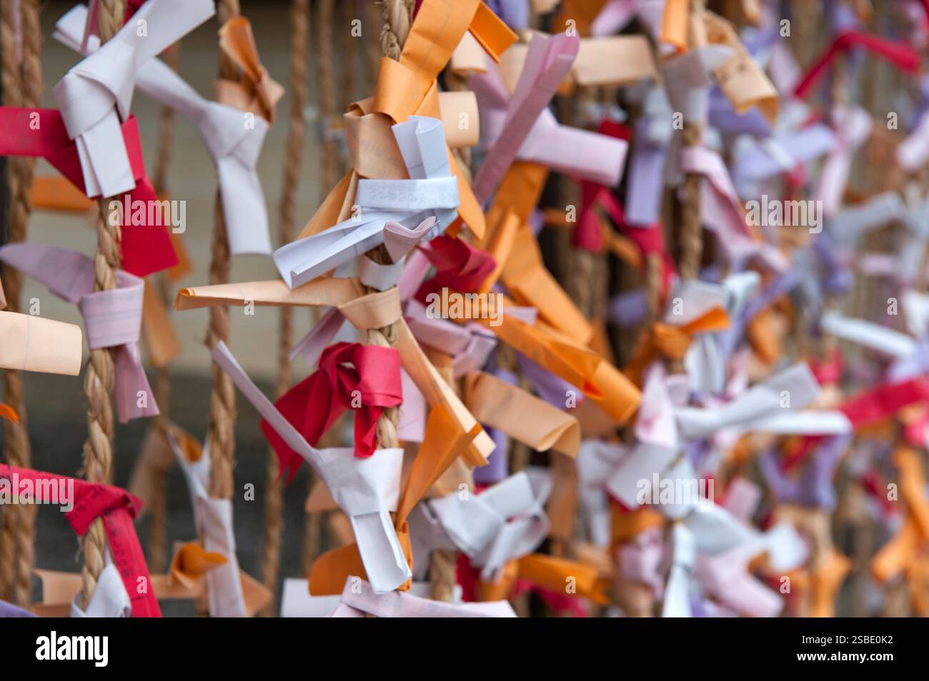 Motif de 'Omikuji' (oracle papier bonne ou mauvaise chance) sur des cordes vues lors de 'hatsumode' (visite du sanctuaire du nouvel an) à Taga Taisha, Hikone, Japon. Banque D'Images