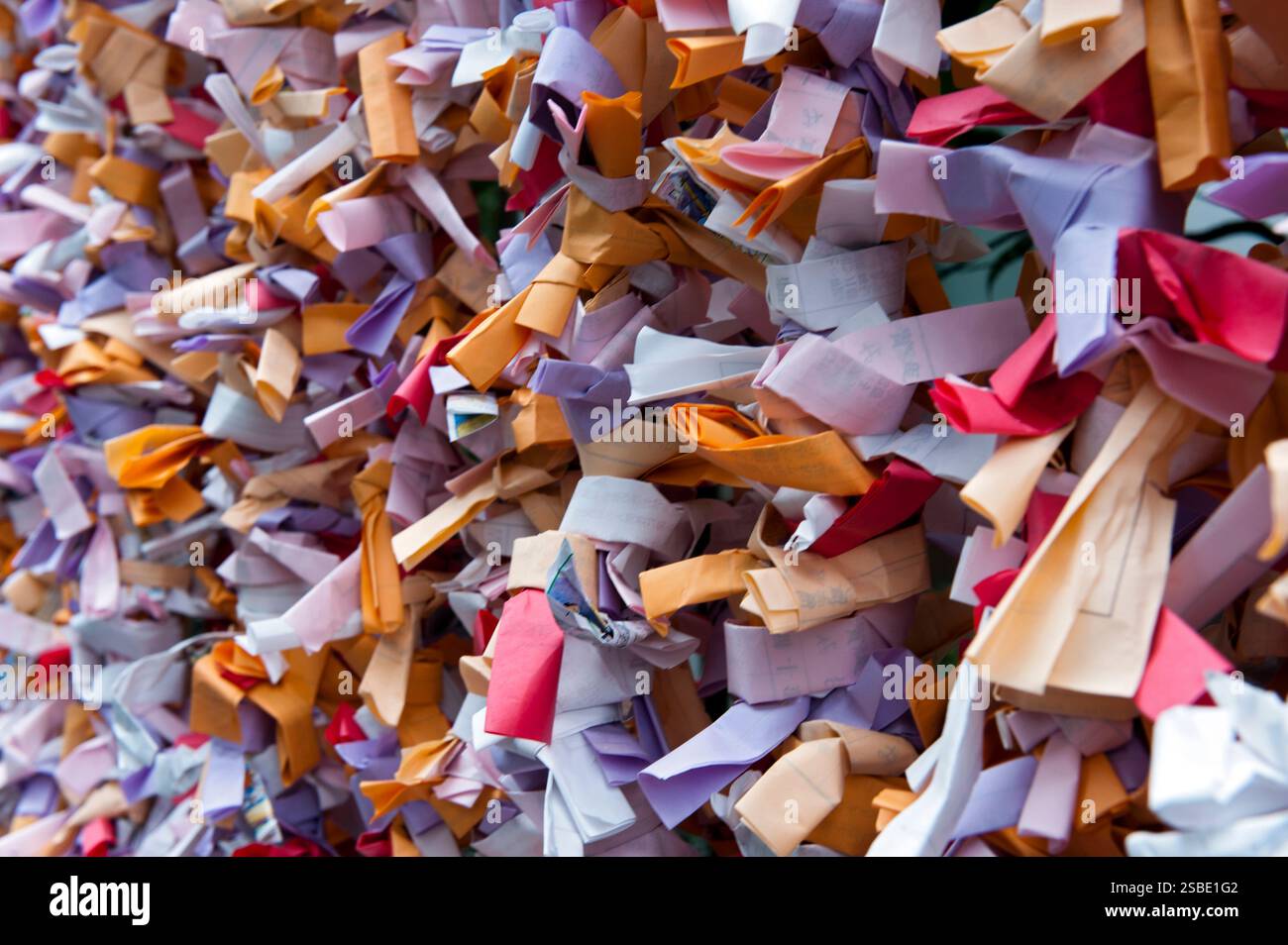 Motif de 'Omikuji' (oracle papier bonne ou mauvaise chance) sur des cordes vues lors de 'hatsumode' (visite du sanctuaire du nouvel an) à Taga Taisha, Hikone, Japon. Banque D'Images