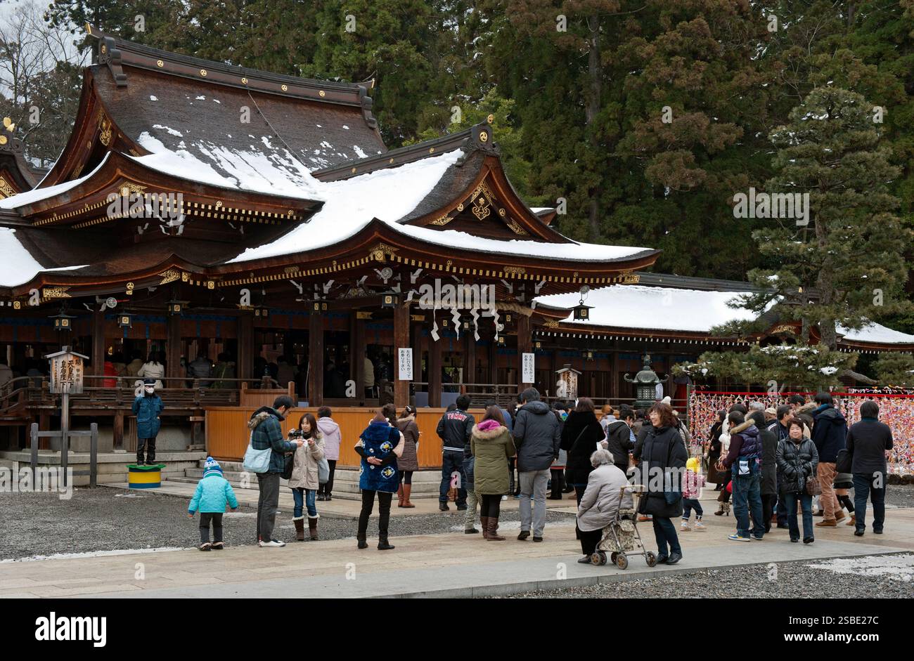 Des foules de visiteurs pendant le « hatsumode » (visite du sanctuaire du nouvel an) se rassemblent devant le hall principal du sanctuaire Taga Taisha Shinto pour souhaiter bonne chance, Hikone. Banque D'Images