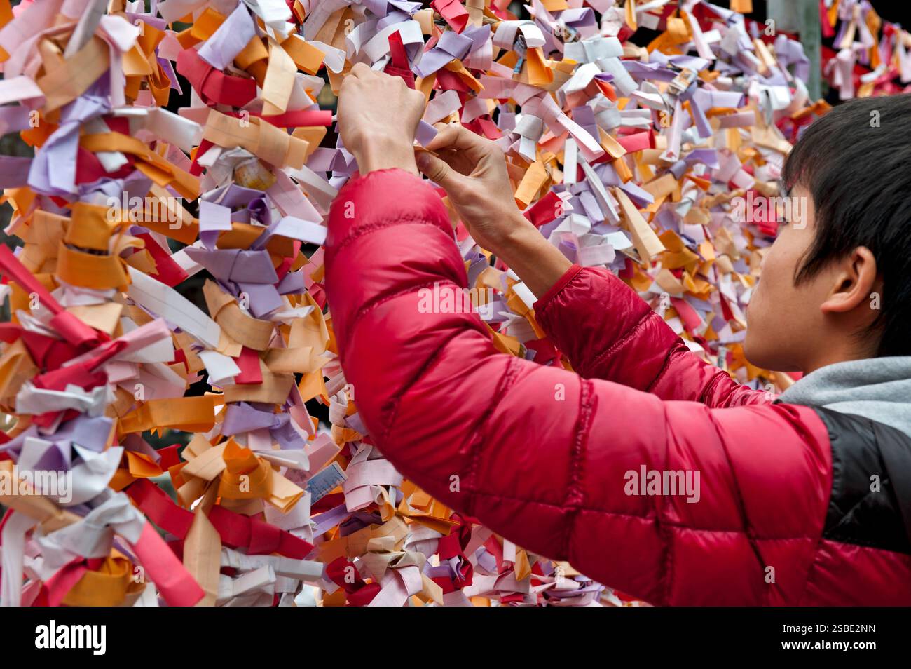 Homme attachant un 'omikuji' (oracle papier bonne ou mauvaise chance) à une corde pendant 'hatsumode' (visite du sanctuaire du nouvel an) à Taga Taisha, Hikone, Japon. Banque D'Images