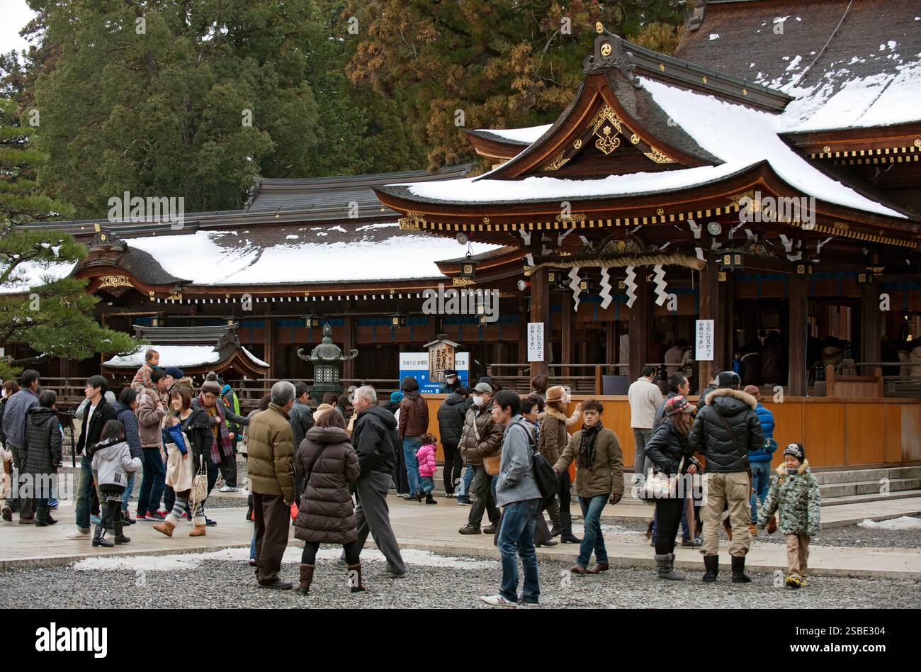 Des foules de visiteurs pendant le « hatsumode » (visite du sanctuaire du nouvel an) se rassemblent devant le hall principal du sanctuaire Taga Taisha Shinto pour souhaiter bonne chance, Hikone. Banque D'Images