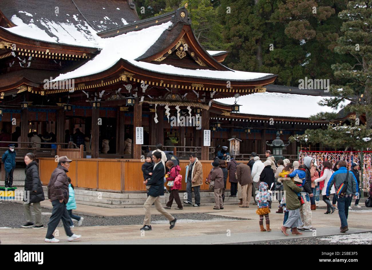 Des foules de visiteurs pendant le « hatsumode » (visite du sanctuaire du nouvel an) se rassemblent devant le hall principal du sanctuaire Taga Taisha Shinto pour souhaiter bonne chance, Hikone. Banque D'Images