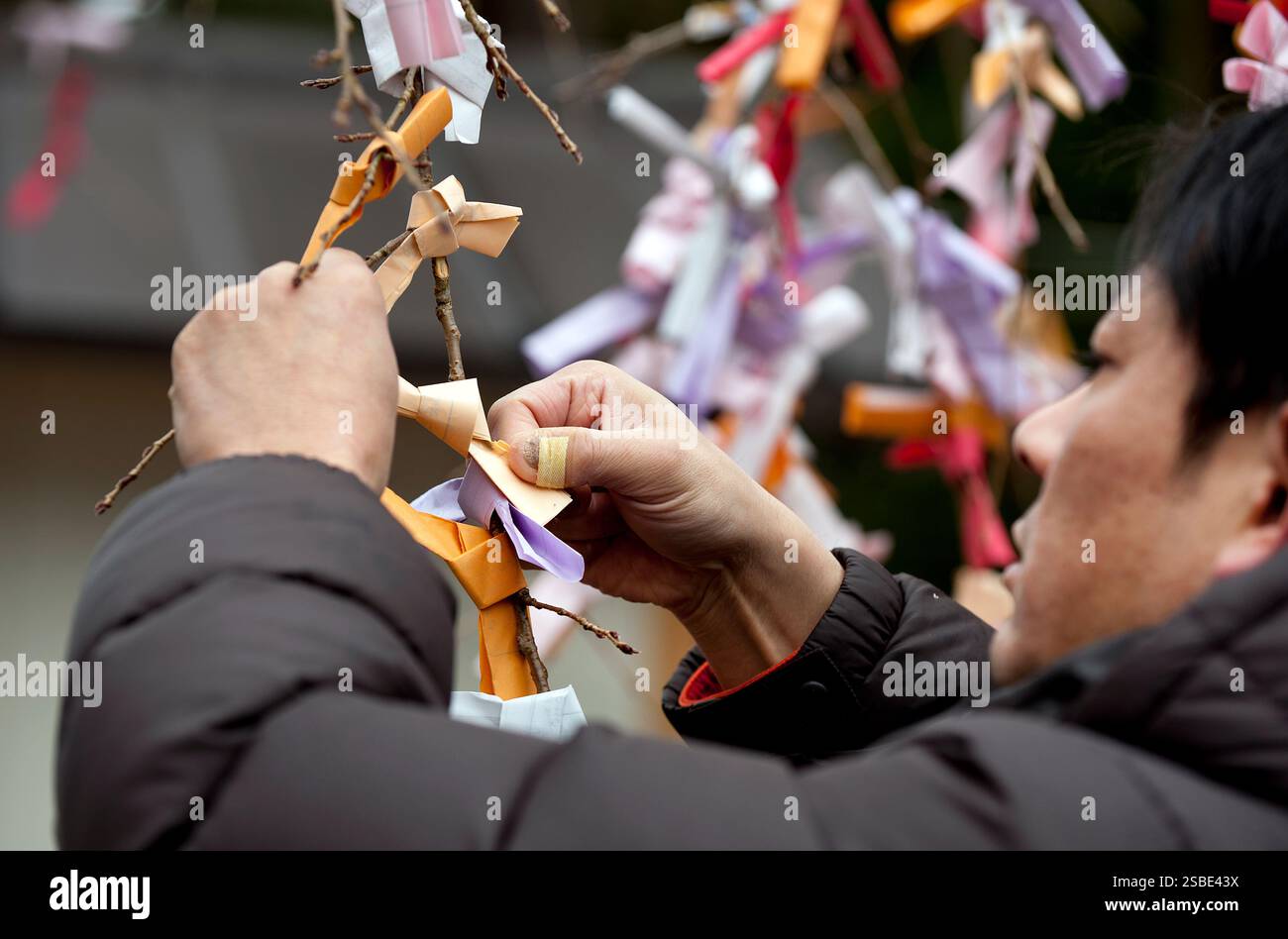 Les gens attachent leur 'omikuji' (oracle papier bonne ou mauvaise chance) à une branche pendant 'hatsumode' (visite du sanctuaire du nouvel an) à Taga Taisha, Hikone, Japon. Banque D'Images
