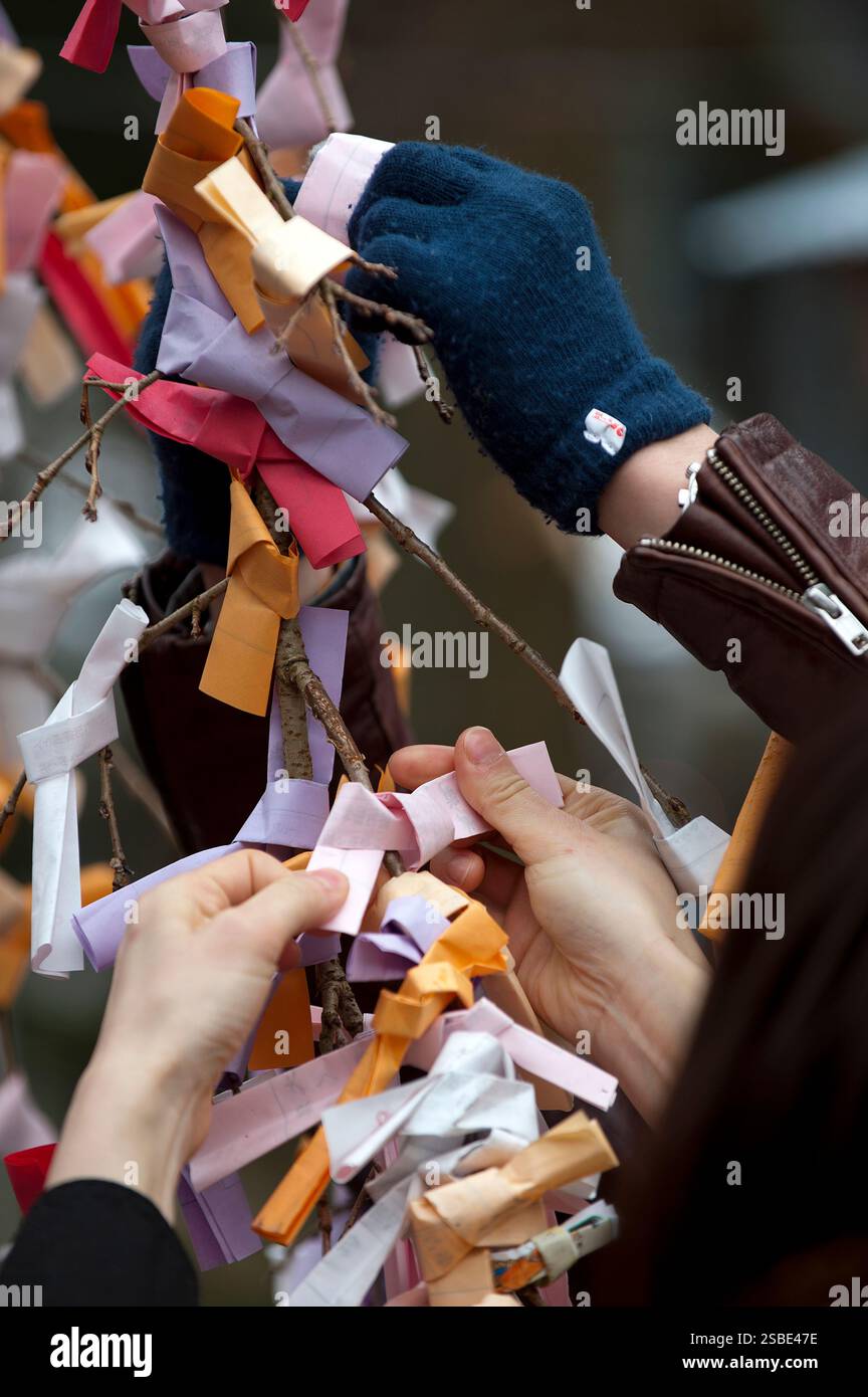 Les gens attachent leur 'omikuji' (oracle papier bonne ou mauvaise chance) à une branche pendant 'hatsumode' (visite du sanctuaire du nouvel an) à Taga Taisha, Hikone, Japon. Banque D'Images