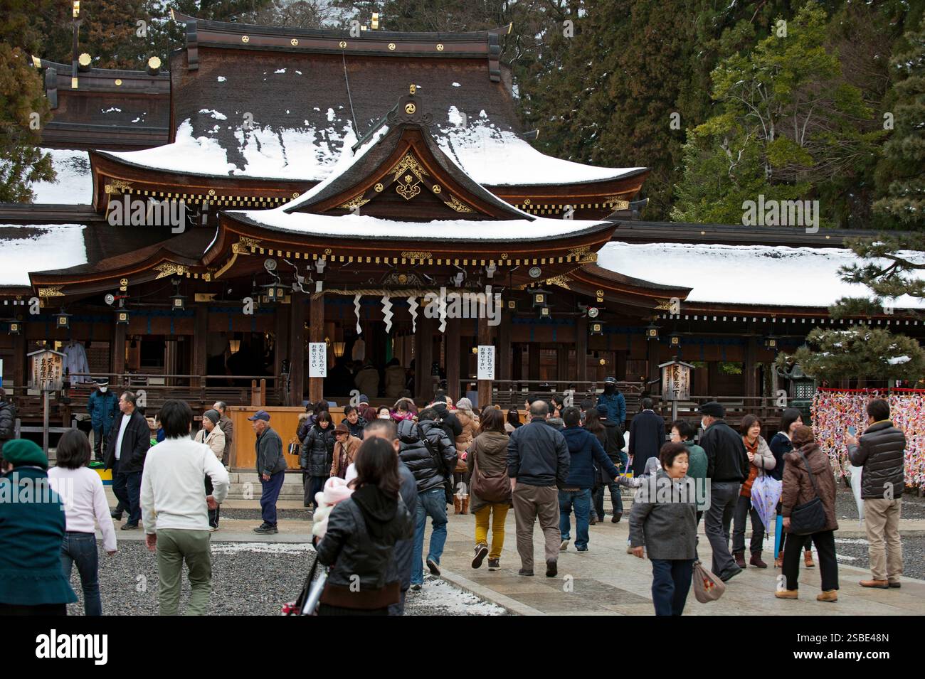 Des foules de visiteurs pendant le « hatsumode » (visite du sanctuaire du nouvel an) se rassemblent devant le hall principal du sanctuaire Taga Taisha Shinto pour souhaiter bonne chance, Hikone. Banque D'Images