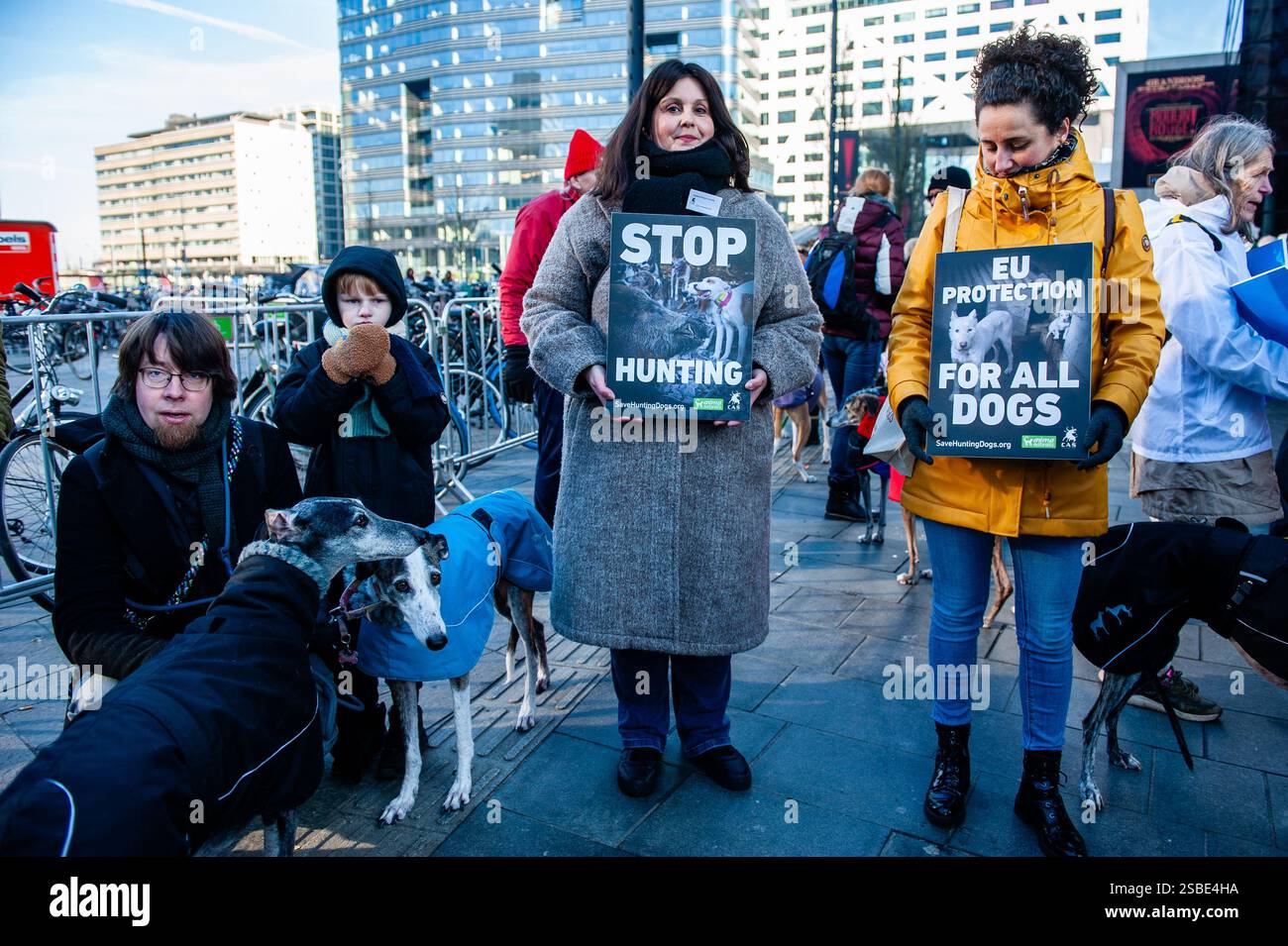 Utrecht, pays-Bas. 02 février 2025. Des manifestants sont vus tenir des pancartes pour soutenir les droits des animaux pendant le rassemblement. L'organisation espagnole 'No A la Caza' (NAC) a organisé plusieurs manifestations européennes. Dans la ville néerlandaise d'Utrecht, les gens ont défilé avec leur lévrier espagnol adopté et Podencos pour soutenir les organisations qui luttent en Espagne contre la souffrance du lévrier. (Photo par Ana Fernandez/SOPA images/SIPA USA) crédit : SIPA US/Alamy Live News Banque D'Images