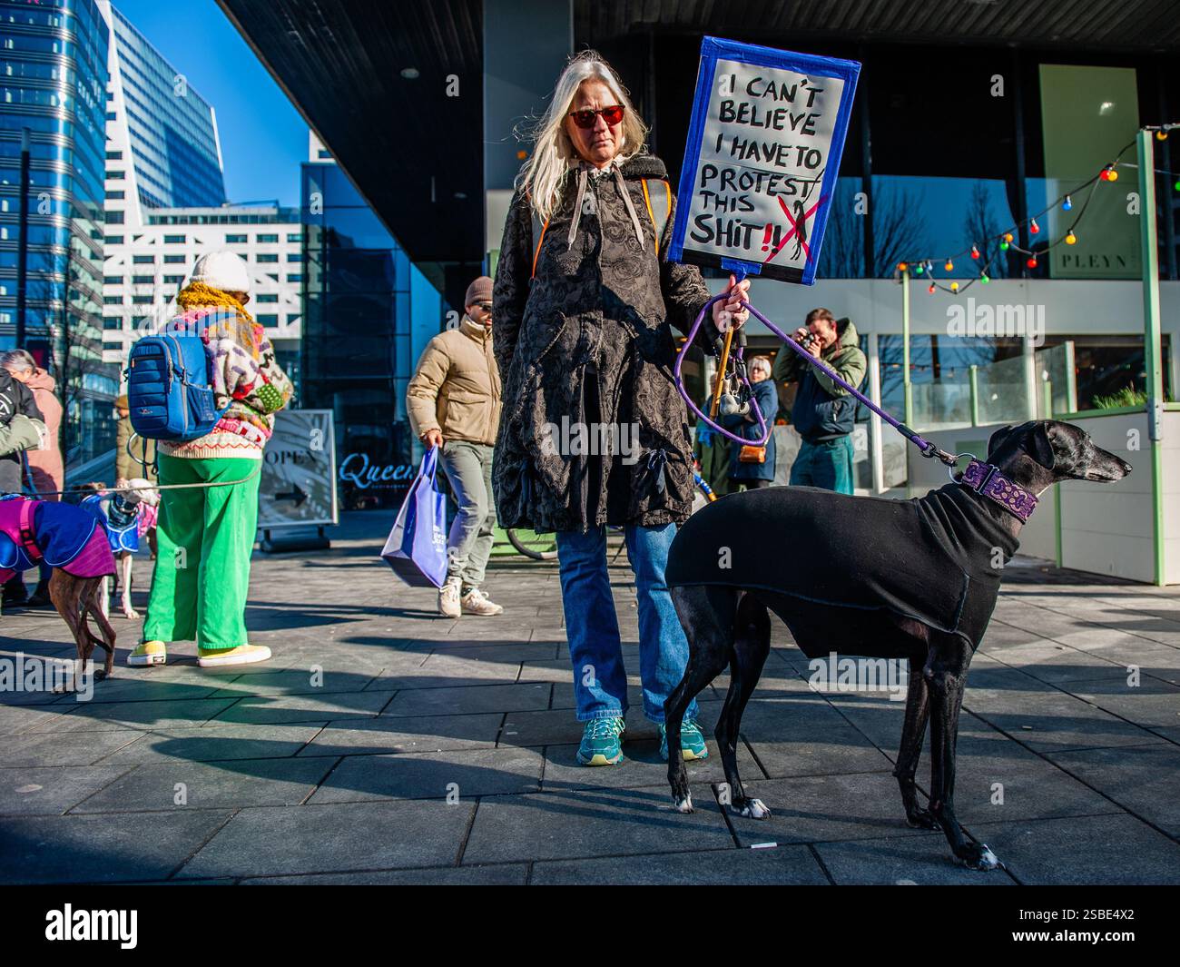 Utrecht, pays-Bas. 02 février 2025. Une femme est vue poser avec son chien et son écriteau pour soutenir les droits des animaux pendant le rassemblement. L'organisation espagnole 'No A la Caza' (NAC) a organisé plusieurs manifestations européennes. Dans la ville néerlandaise d'Utrecht, les gens ont défilé avec leur lévrier espagnol adopté et Podencos pour soutenir les organisations qui luttent en Espagne contre la souffrance du lévrier. (Photo par Ana Fernandez/SOPA images/SIPA USA) crédit : SIPA US/Alamy Live News Banque D'Images
