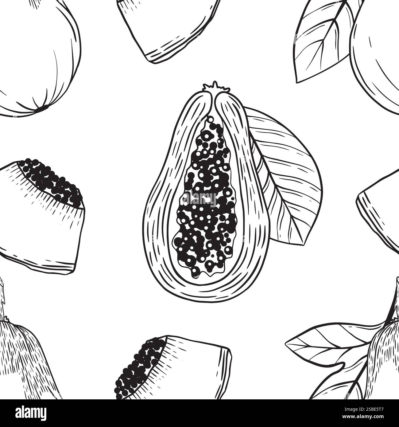 Illustrations stylisées en noir et blanc de fruits de papaye, magnifiquement associées à des feuilles tropicales vibrantes. Graphiques vectoriels en noir et blanc dessinés à la main en dessin au trait pour l'impression sur papier et tissu. Illustration de Vecteur