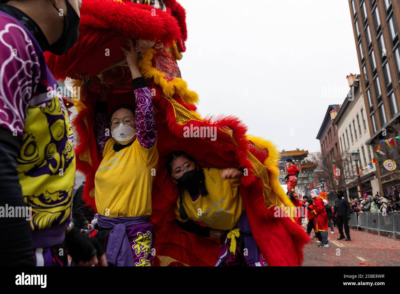 Washington DC, États-Unis. 02 février 2025. Les gens assistent aux célébrations du nouvel an lunaire dans la région de Chinatown à Washington, DC, USA le 2 février 2025. La communauté chinoise de la capitale de la nation accueille « l'année du serpent » avec des célébrations avec une danse du lion, des calligraphies en direct et des spectacles d'anime. Crédit : Aashish Kiphayet/Alamy Live News Banque D'Images
