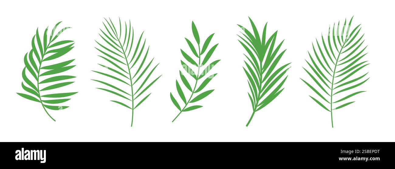 Jeu de cliparts d'icône de palmier. Palmier vert et feuille de noix de coco collection d'art de clip tropical symbole d'été dans l'illustration vectorielle de fond blanc. Illustration de Vecteur