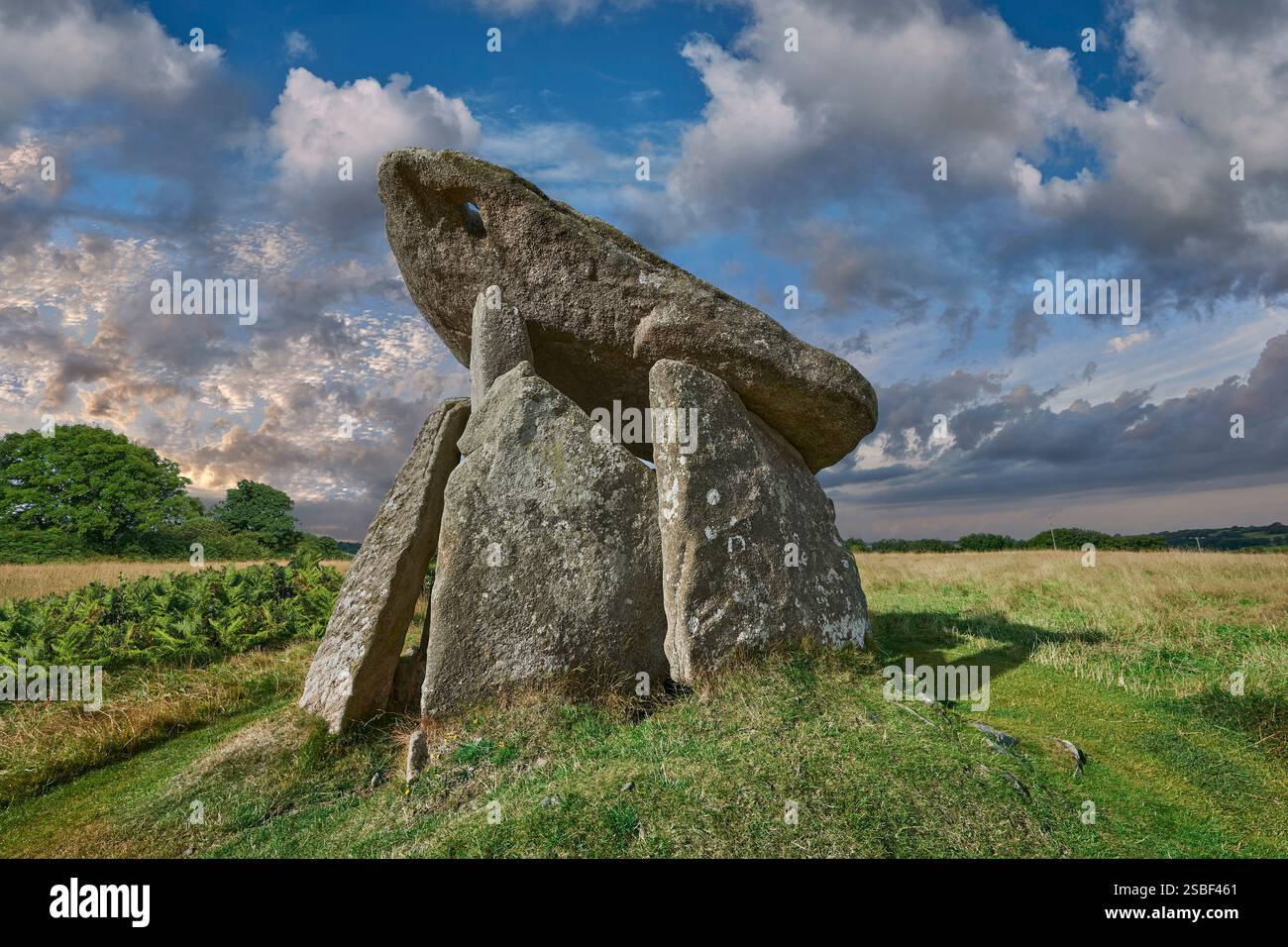 Photo de Trethevy Quoit (maison des géants) chambre funéraire en pierre de l'âge néolithique debout, près de St Clear, Cornouailles, Angleterre. Banque D'Images