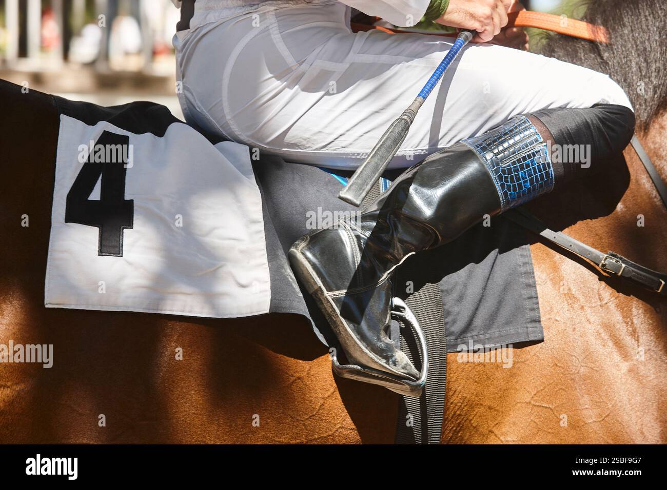 Cheval de course avec détail jokey. Pure race dans l'hippodrome. Derby Banque D'Images Cheval de course avec détail jokey. Pure race dans l'hippodrome. Derby Banque D'Images