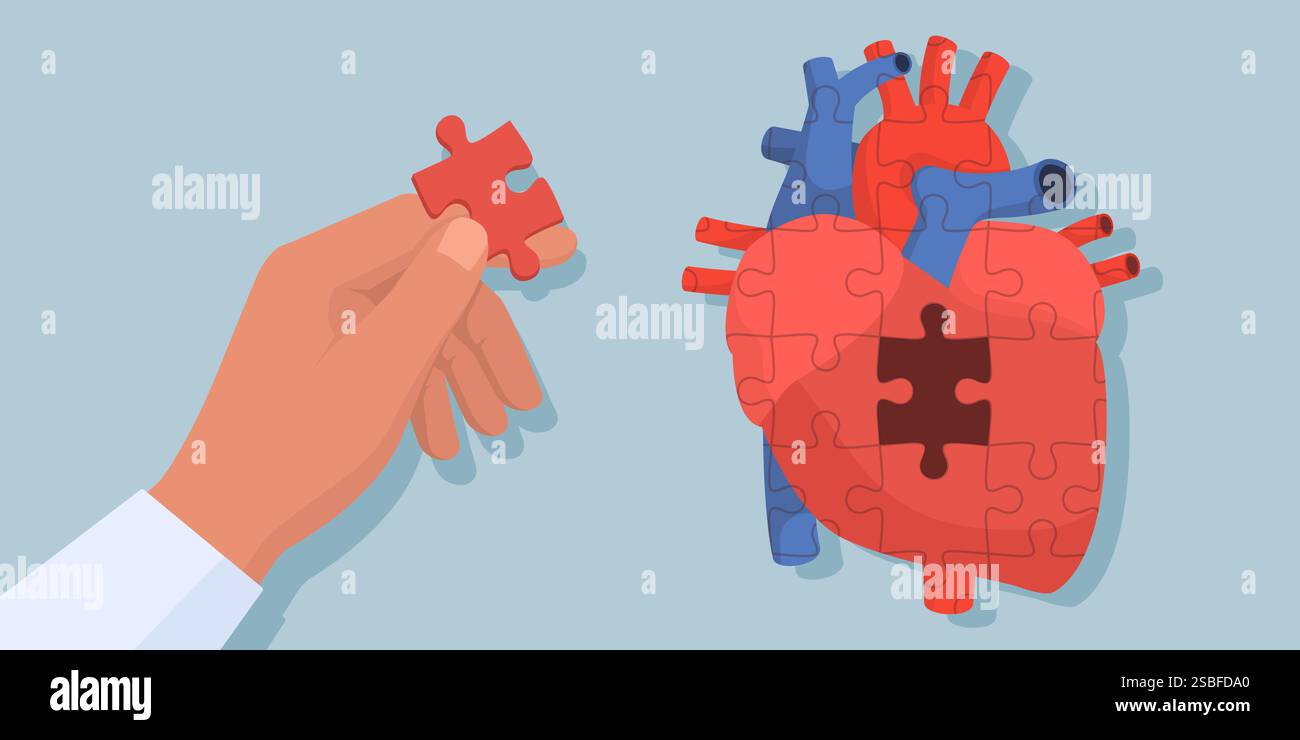 L'homme complétant un puzzle en forme de coeur humain : concept de cardiologie et de cardiologie Illustration de Vecteur L'homme complétant un puzzle en forme de coeur humain : concept de cardiologie et de cardiologie Illustration de Vecteur