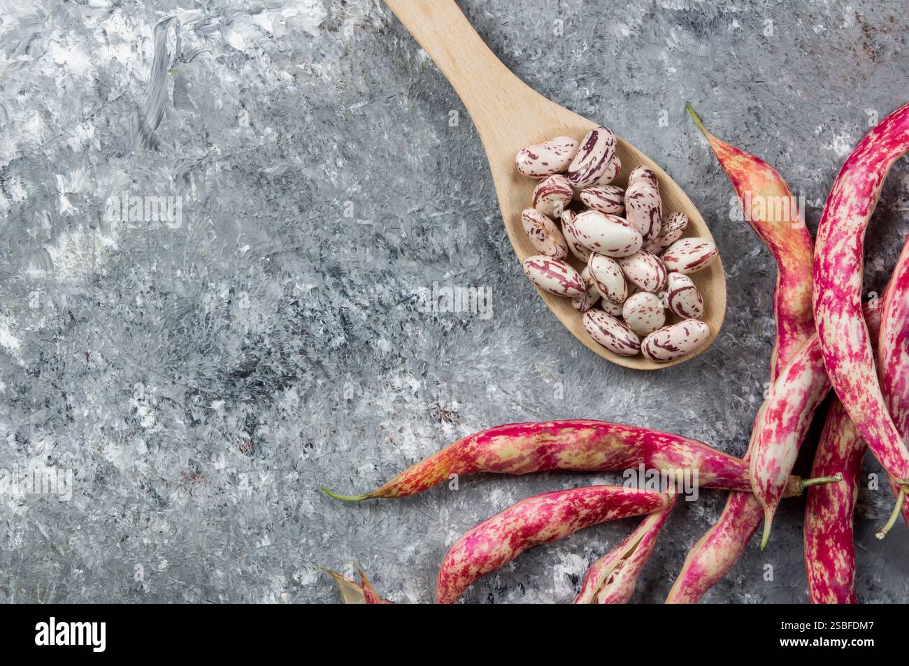 Haricots romains séchés non cuits récoltés avec plante de gousses crues sur fond rustique, tas de légumineuses concept de haricots rouges Banque D'Images