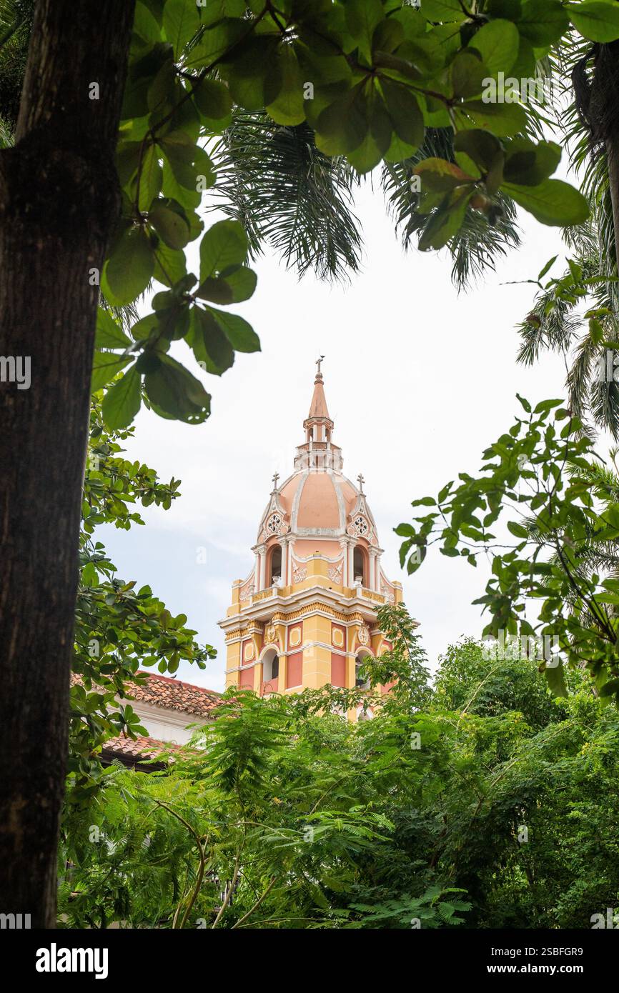 La magnifique cathédrale de Cartagena de Indias, Colombie (cathédrale Sainte Catherine d'Alexandrie). Banque D'Images