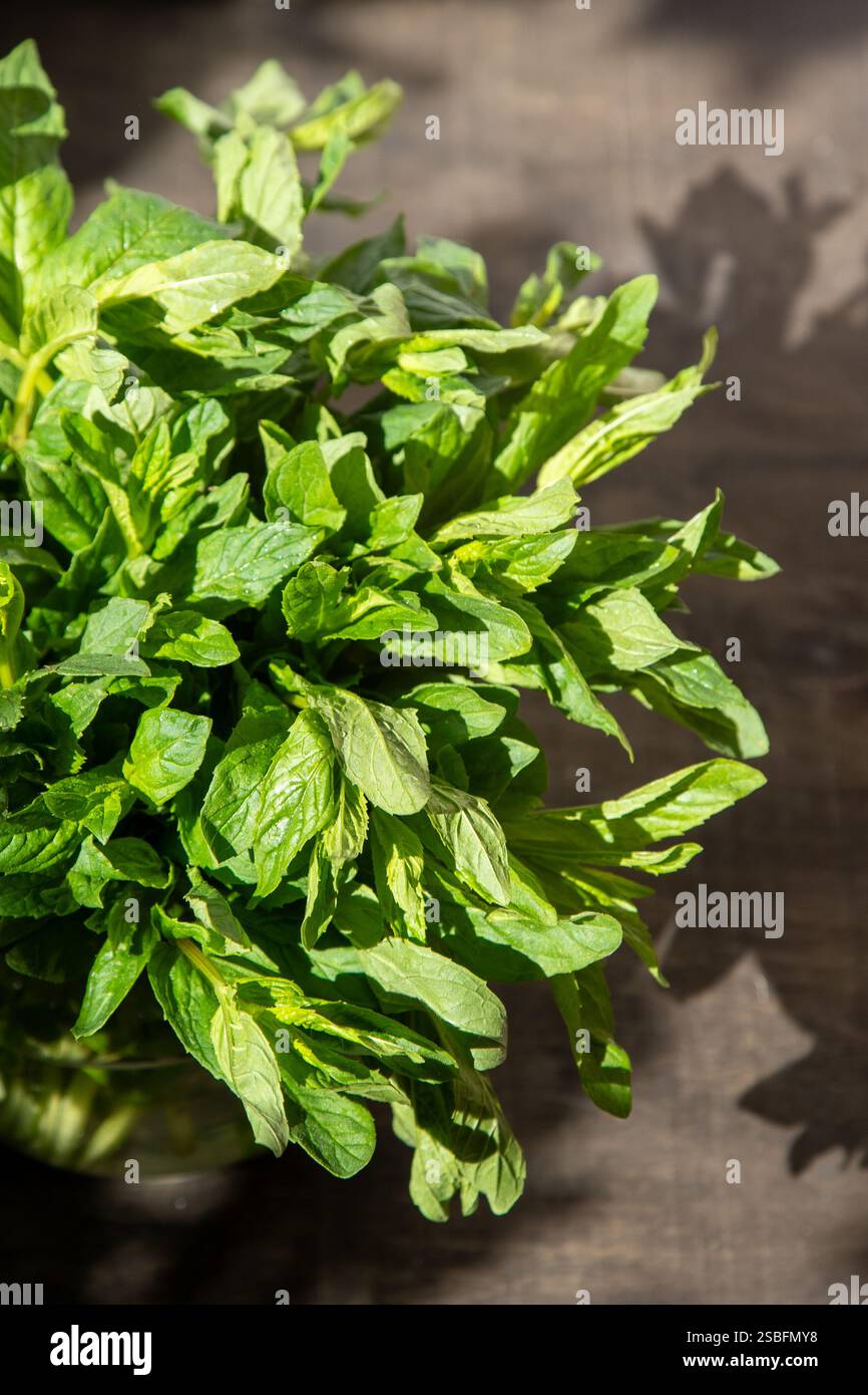 Feuilles vert menthe, fond de bouquet d'été frais Banque D'Images