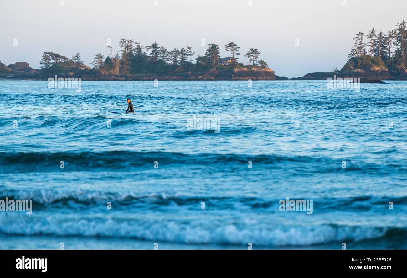 Surfeur sur planche de surf attendant la vague parfaite au coucher du soleil sur Chesterman Beach, Tofino, Île de Vancouver, Canada. Banque D'Images