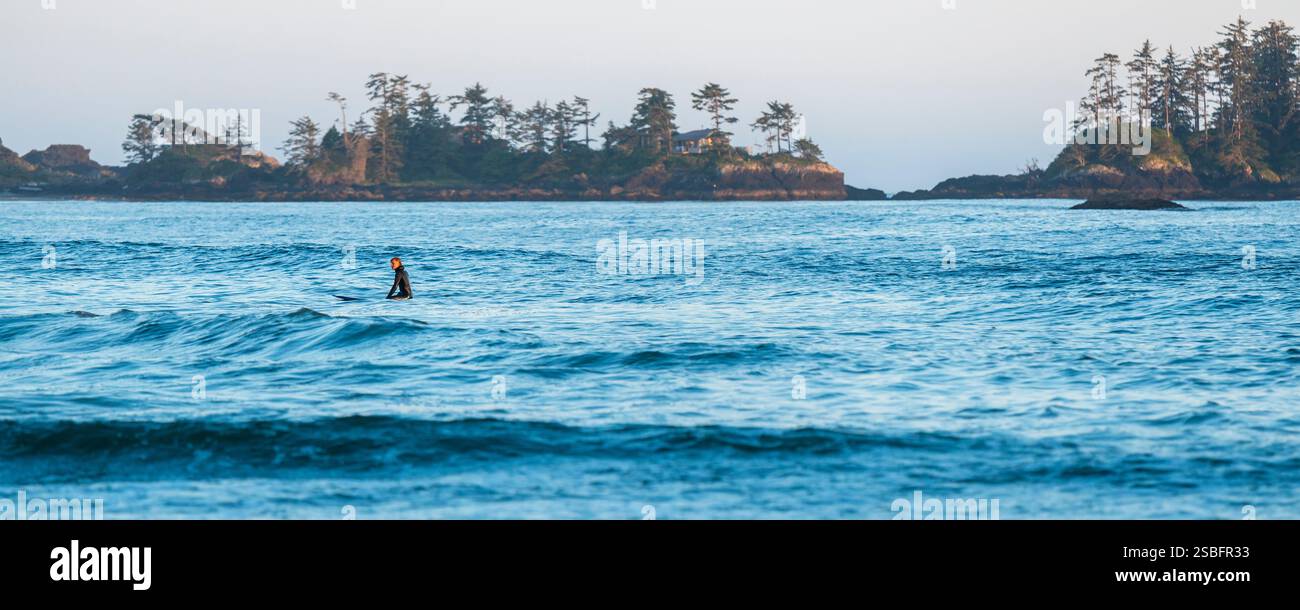 Panorama d'un surfeur sur planche de surf attendant la vague parfaite au coucher du soleil sur Chesterman Beach, île de Vancouver. Banque D'Images