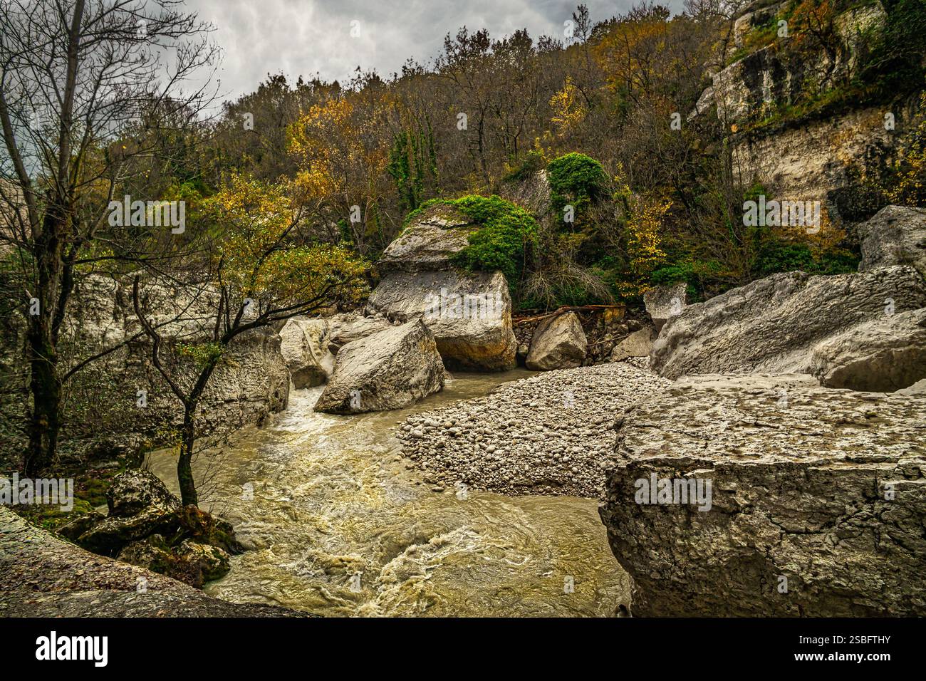 L'Orta, une rivière de montagne, coule impétublement parmi les gros rochers et les plantes aux couleurs automnales.Parc national de Maiella, Abruzzes, Italie, Europe Banque D'Images