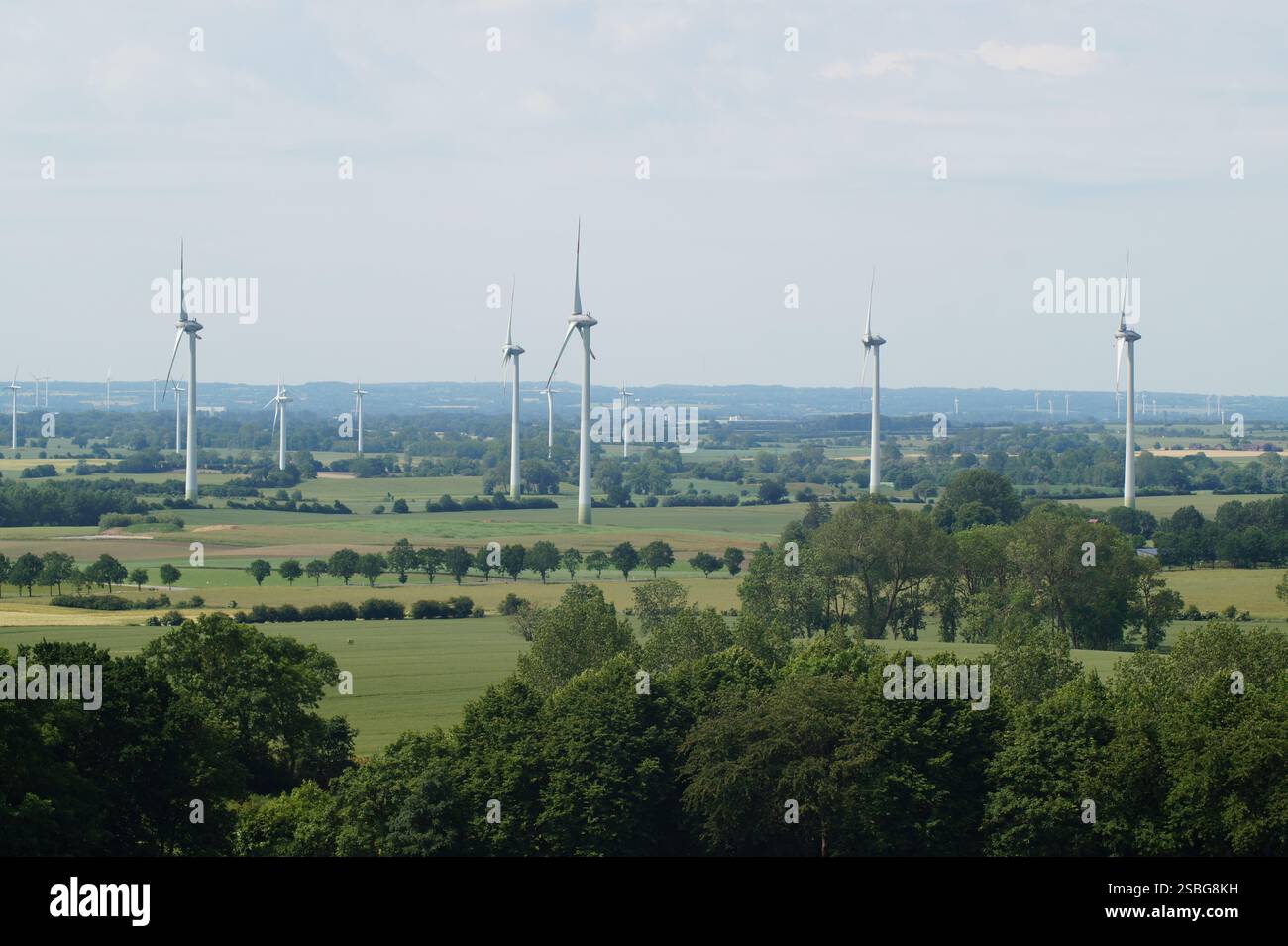 Éoliennes, parc éolien du Schleswig Holstein, Allemagne, énergie éolienne, énergie verte, transition énergétique, respectueux de l'environnement Banque D'Images