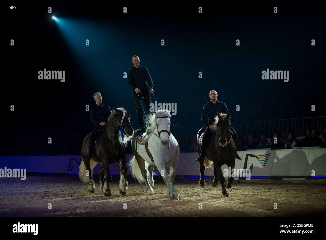 Elise Roméo présente son spectacle « l'équilibre des forces ». Ce numéro de dressage rassemble autour d'Elise Roméo des races françaises de chevaux lourds (Boulonnais, Ardennes, Comtois, Draft Breton, Auxois, projet Poitevin Mulassier, projet Percheron du Nord). Elle vous invite à dépoussiérer des idées préconçues avec notamment son étalon Cob Normand et sa mule « Juju », à l’exposition Park d’Avignon le 26 janvier 2025. Photo de Cyrille Bernard/ABACAPRESS. COM Banque D'Images