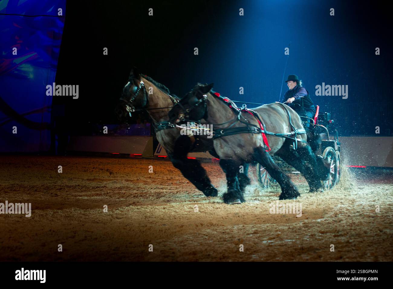 Elise Roméo présente son spectacle « l'équilibre des forces ». Ce numéro de dressage rassemble autour d'Elise Roméo des races françaises de chevaux lourds (Boulonnais, Ardennes, Comtois, Draft Breton, Auxois, projet Poitevin Mulassier, projet Percheron du Nord). Elle vous invite à dépoussiérer des idées préconçues avec notamment son étalon Cob Normand et sa mule « Juju », à l’exposition Park d’Avignon le 26 janvier 2025. Photo de Cyrille Bernard/ABACAPRESS. COM Banque D'Images