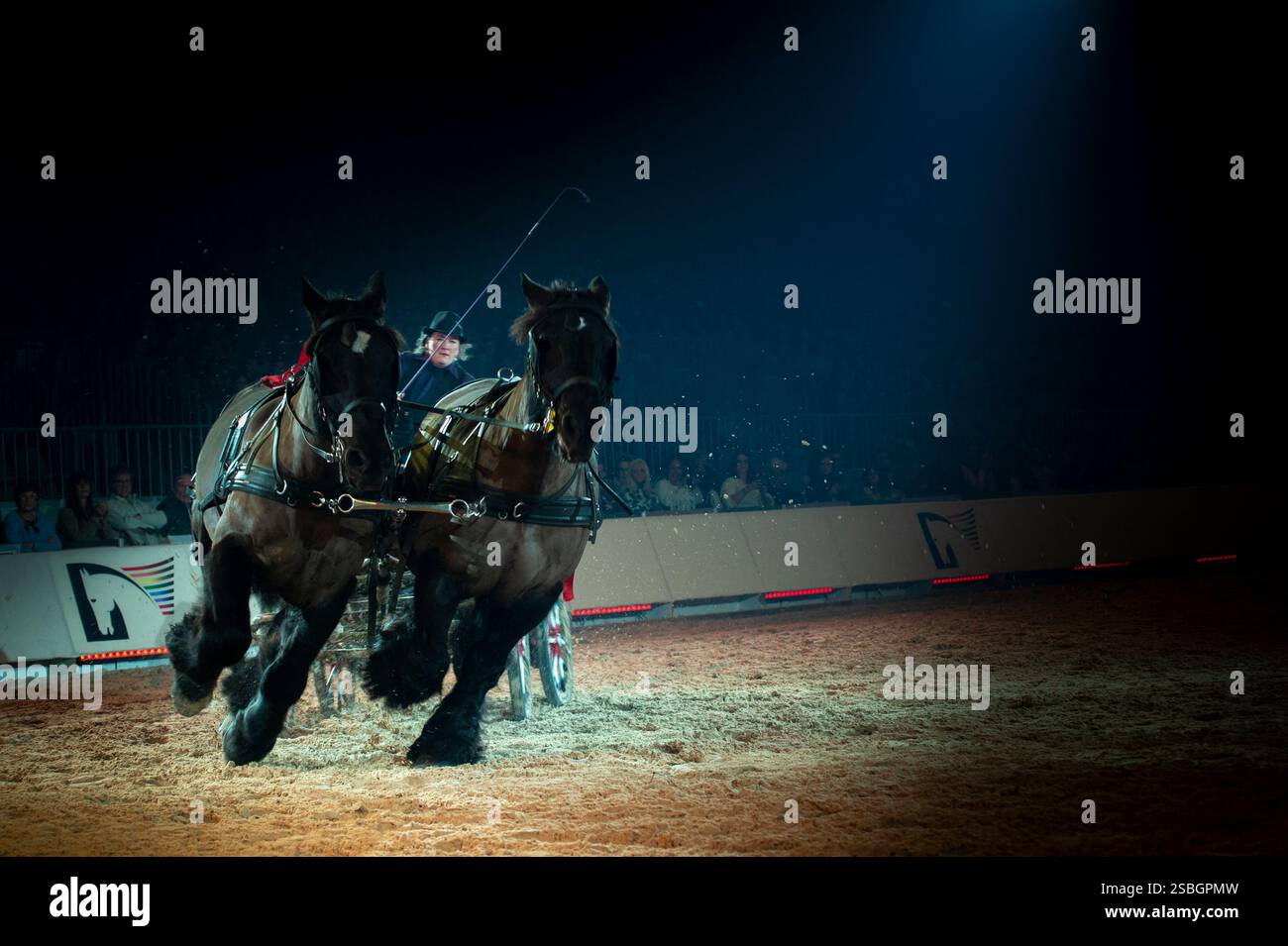 Elise Roméo présente son spectacle « l'équilibre des forces ». Ce numéro de dressage rassemble autour d'Elise Roméo des races françaises de chevaux lourds (Boulonnais, Ardennes, Comtois, Draft Breton, Auxois, projet Poitevin Mulassier, projet Percheron du Nord). Elle vous invite à dépoussiérer des idées préconçues avec notamment son étalon Cob Normand et sa mule « Juju », à l’exposition Park d’Avignon le 26 janvier 2025. Photo de Cyrille Bernard/ABACAPRESS. COM Banque D'Images