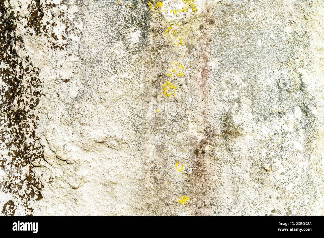 Surface de roche avec lichen plein cadre abstrait Banque D'Images