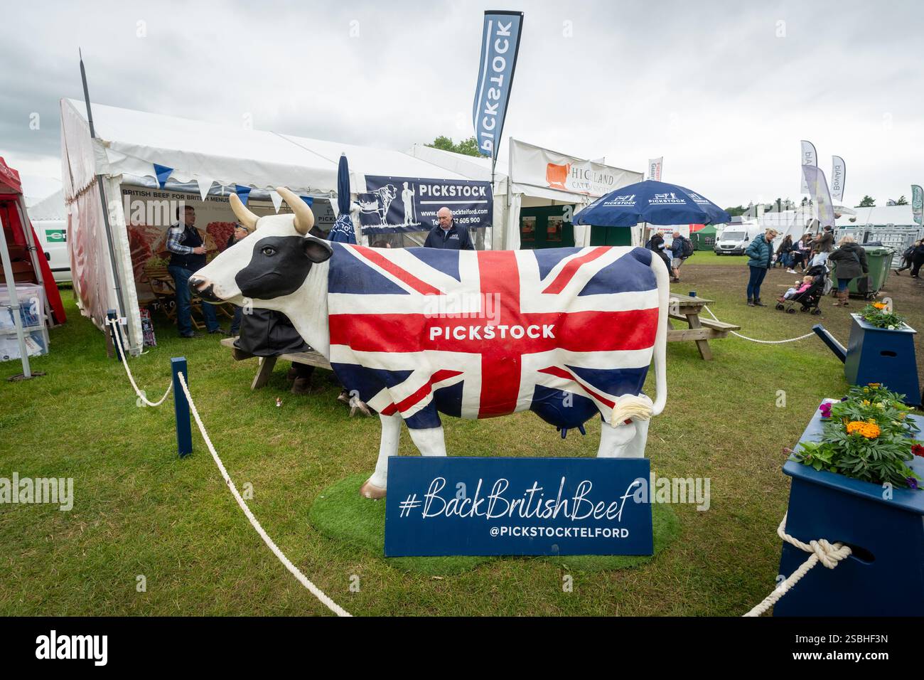 Mascotte de bœuf britannique avec drapeau britannique au Great Yorkshire Show, Angleterre Banque D'Images