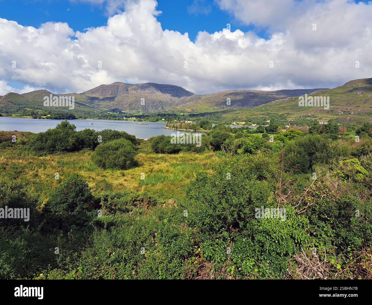 Adrigole Bay dans le comté de Cork. La colline Hungry Hill (685m, 2 253 ft), la plus haute de la chaîne de Caha qui forme la colonne vertébrale de la péninsule, est au-dessus de celle-ci. - Image de stock capturée avec un smartphone