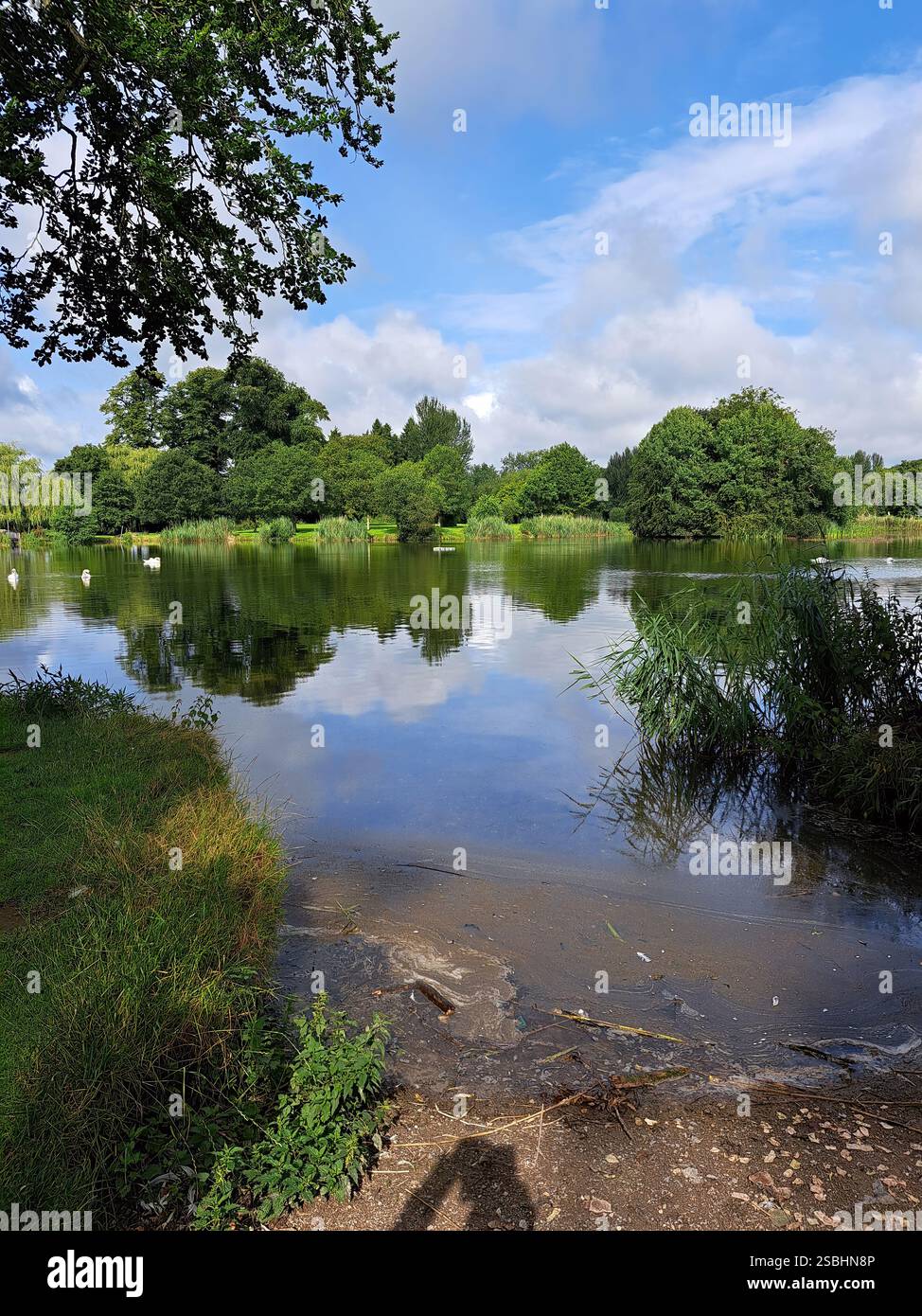 Le lac Templemore est situé dans le parc de la ville de Templemore. Comté de Tipperary, Irlande. - Image de stock capturée avec un smartphone