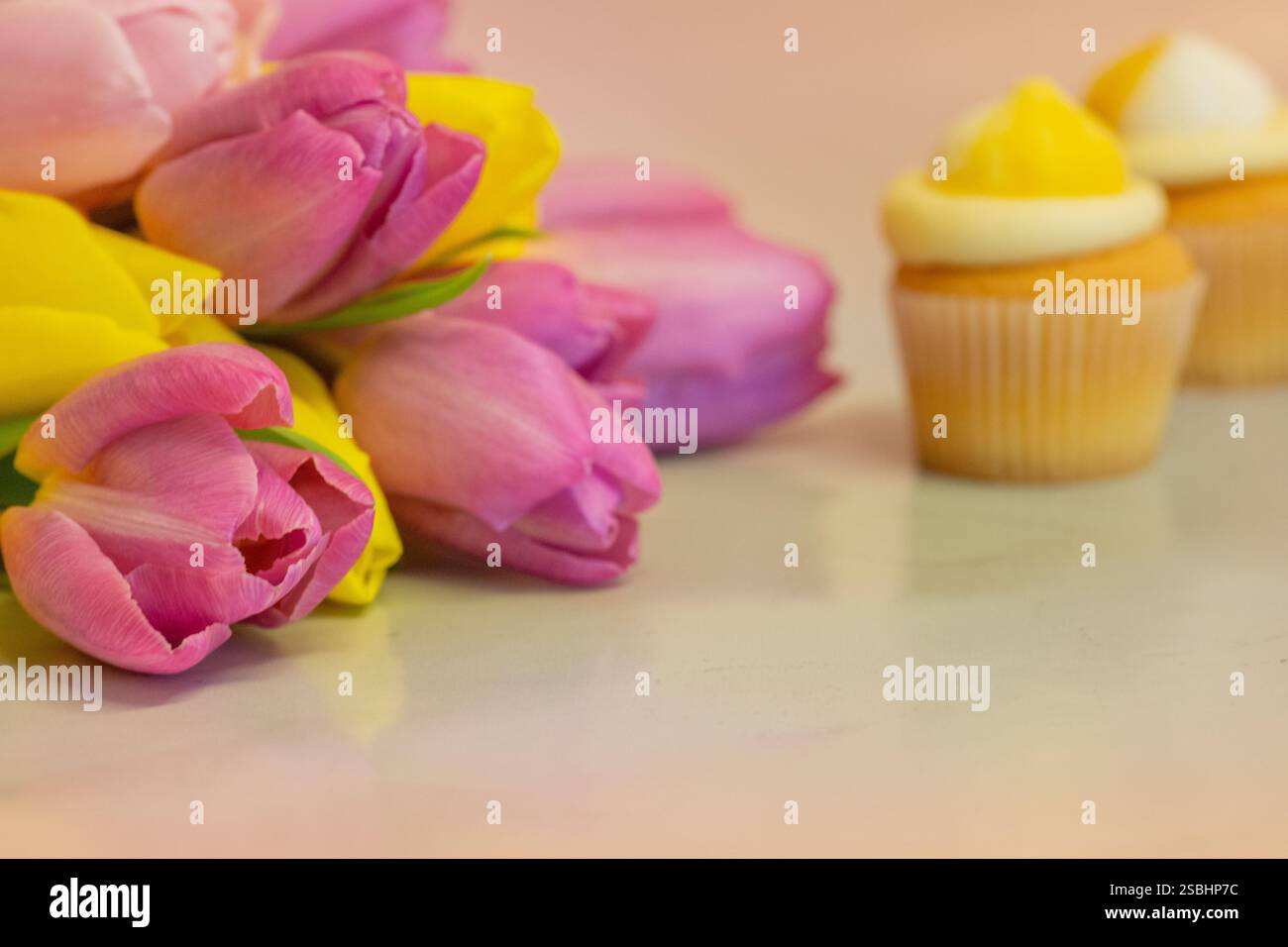 Tulipes et mini cupcakes pour Pâques, anniversaires et fête des mères avec espace pour copie/texte Banque D'Images