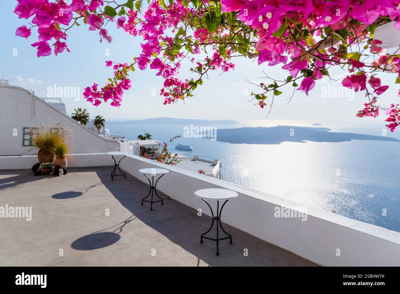 Bougainvilliers roses en fleurs devant le panorama de la caldeira de Santorin, Cyclades, Grèce Banque D'Images